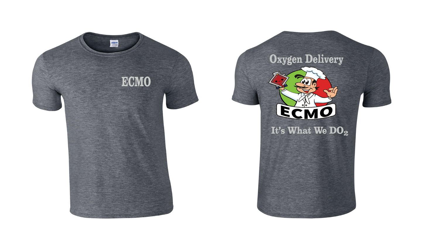 ECMO Oxygen Delivery