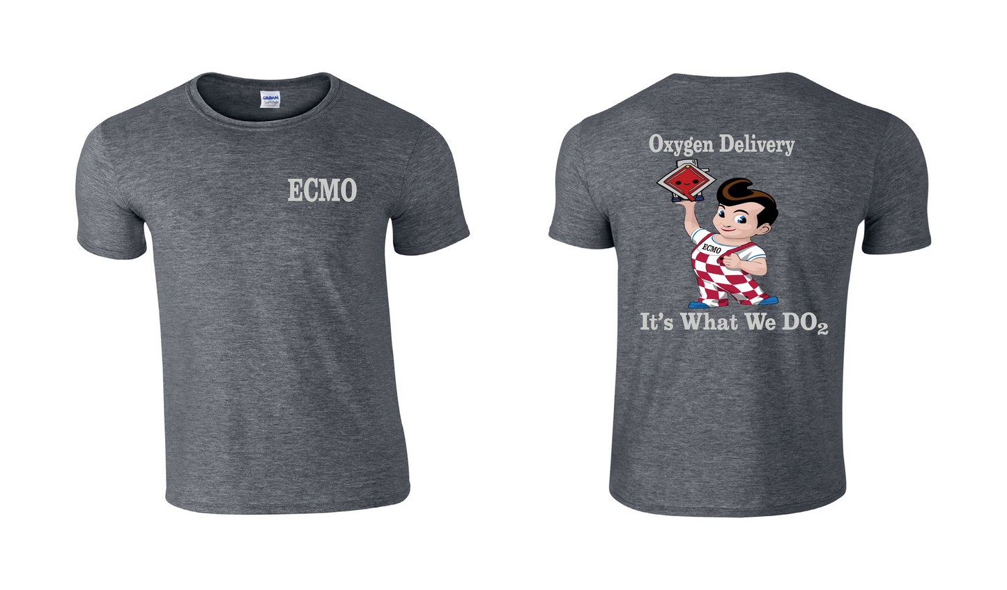 ECMO Oxygen Delivery